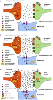 1H Magnetic Resonance Spectroscopy to Understand the Biological Basis of ALS, Diagnose Patients Earlier, and Monitor Disease Progression